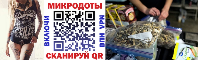 Галлюциногенные грибы Psilocybine cubensis Калининград
