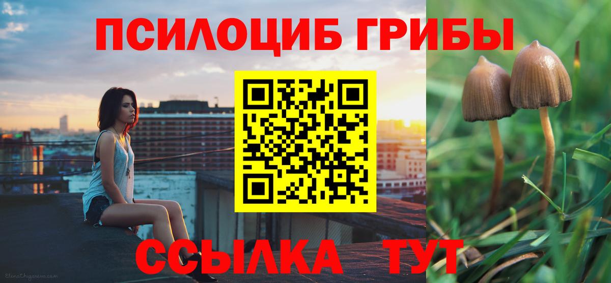Псилоцибиновые грибы GOLDEN TEACHER Калининград