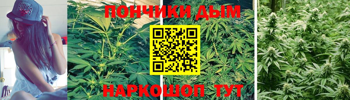 Бошки марихуана Bruce Banner Калининград